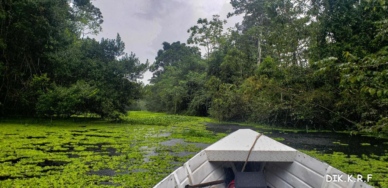 Pacaya Samiria Amazon Lodge Nauta Zewnętrze zdjęcie