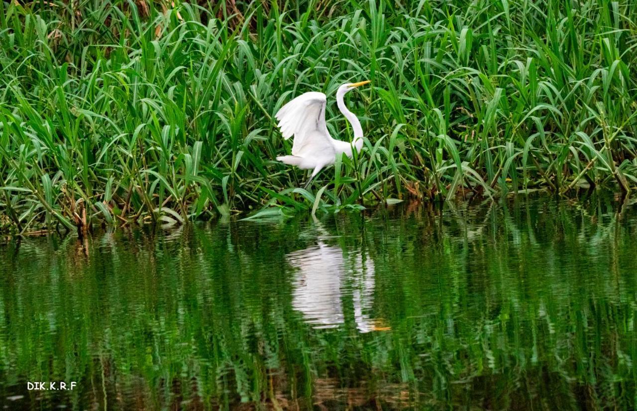 Pacaya Samiria Amazon Lodge Nauta Zewnętrze zdjęcie