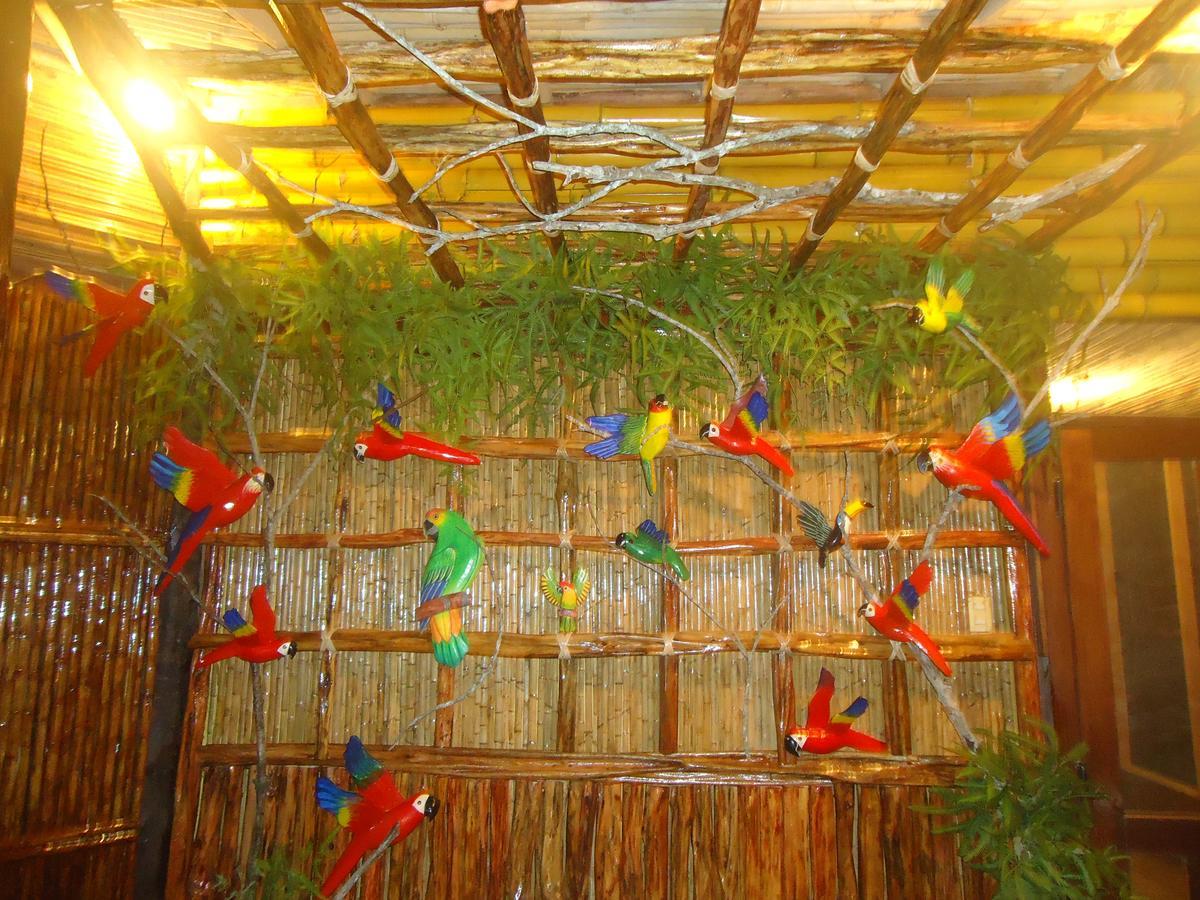 Pacaya Samiria Amazon Lodge Nauta Zewnętrze zdjęcie